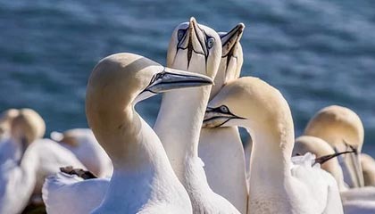 杭州最新的高价医保卡惠民保险代扣怎么取消掉了方法分享(杭州惠民医保怎么报销教程)