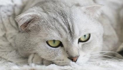 杭州最新的高价医保个人账户余额微信查询方法分享(杭州医保查询个人账户明细怎么查微信教程)