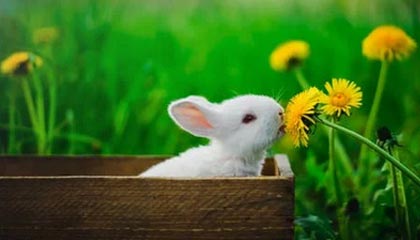 杭州最新的高价医保卡惠民保险代扣怎么取消掉了方法分享(杭州惠民医保怎么报销教程)